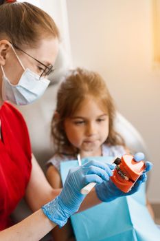 Oral hygiene lesson of jaw anatomical model for child in dentistry. Dentist shows child how to properly brush his teeth with a toothbrush