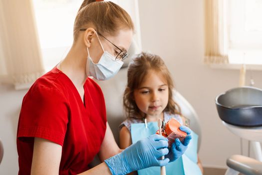 Oral hygiene lesson of jaw anatomical model for child in dentistry. Dentist shows child how to properly brush his teeth with a toothbrush