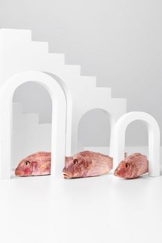 Air-dried red mullets lying between arches on light gray background. Creative showcase with geometric shapes for presentation of popular fish snack