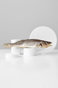 Whole air-dried pike perch lying on cylindrical podium on light gray background. Abstract showcase mockup for presentation of popular fish snacks