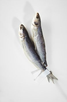 Two whole salted sun-dried mullets with paper labels for logo on tails lying on white background, top view with copyspace