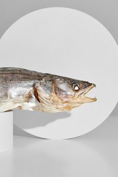 Closeup of air-dried pike perch lying on cylindrical stand on light gray circle background, cropped shot. Showcase for presentation of popular fish snack