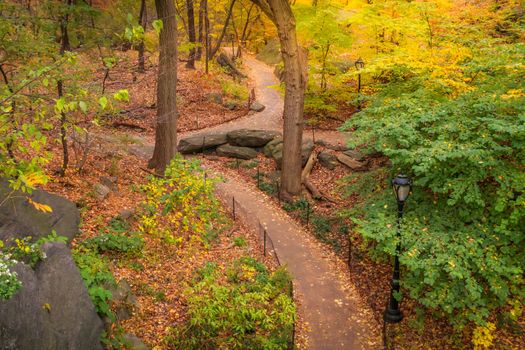 Central park in New York City Manhattan at golden autumn morning , United States