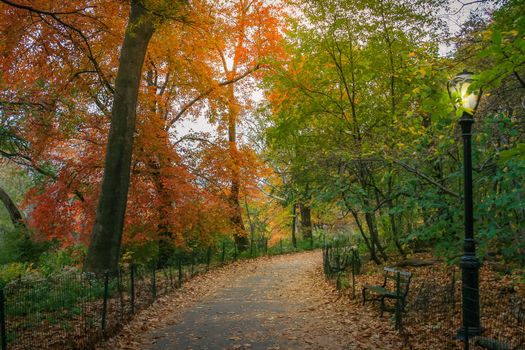 Central park in New York City Manhattan at golden autumn morning , United States