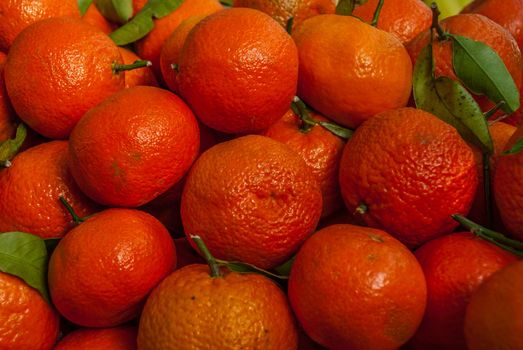 Close-up photos of mandarin orange from the garden Suitable for making background images