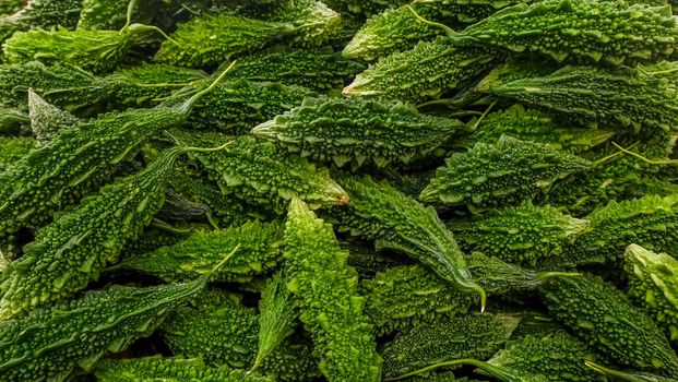 Green organic Bitter Melon, Momordica Charantiar Suitable for making background images.