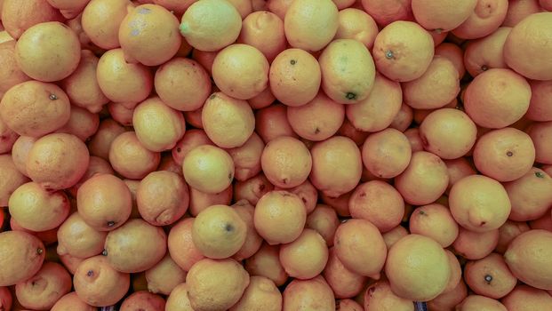Grapefruit harvest. many grapefruit. grapefruits for food textures and backgrounds. Landscape. A backdrop of grapefruits. Street vegetable market.