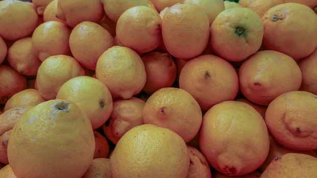 Grapefruit harvest. many grapefruit. grapefruits for food textures and backgrounds. Landscape. A backdrop of grapefruits. Street vegetable market