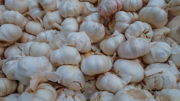 White garlic pile texture. Fresh garlic on market table closeup photo. Vitamin healthy food spice image. Spicy cooking ingredient picture. Pile of white garlic heads. White garlic head heap top view