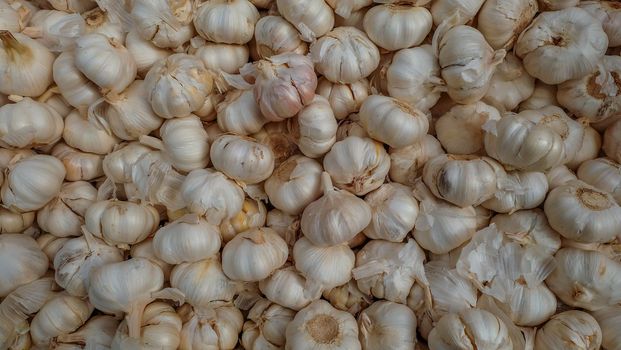 White garlic pile texture. Fresh garlic on market table closeup photo. Vitamin healthy food spice image. Spicy cooking ingredient picture. Pile of white garlic heads. White garlic head heap top view