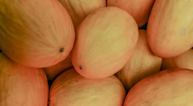 Fresh yellow melons after harvest Suitable for making background images.