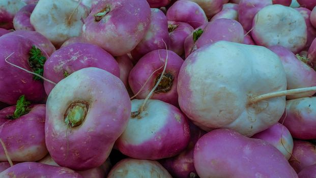 a bunch of loose turnips In market Suitable for making background images.