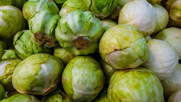 Close-up shots of green and white cabbage sold in the market Suitable for making background images.