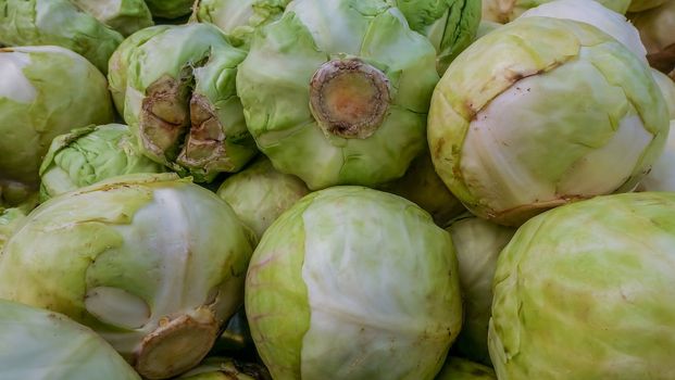Close-up shots of green cabbage sold in the market Suitable for making background images.