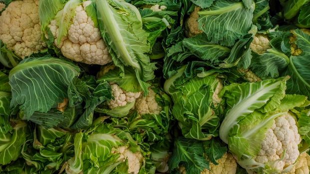 Cauliflower for sale at the street farmers market Suitable for making background images.