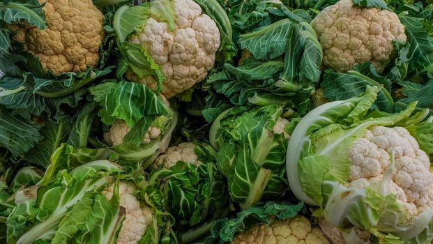 Cauliflower for sale at the street farmers market Suitable for making background images.