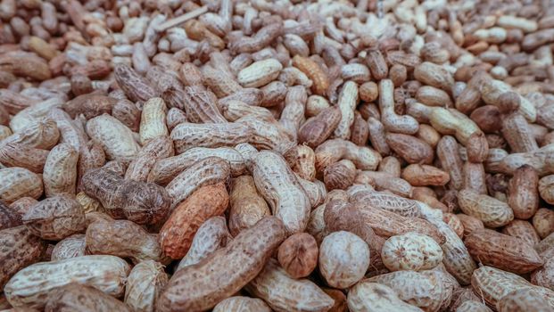 peanut in a shell texture. food background of peanuts.