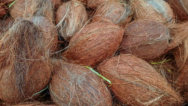 Pile of coconuts in the food market of India Suitable for making background images.