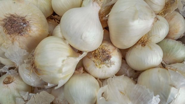White garlic pile texture. Fresh garlic on market table closeup photo. Vitamin healthy food spice image. Spicy cooking ingredient picture. Pile of white garlic heads. White garlic head heap top view