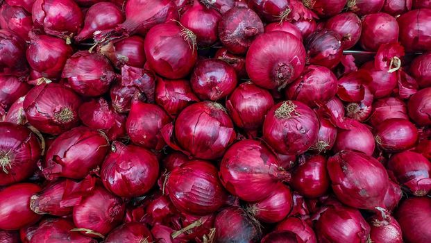 The new harvest onions red at local farm market, Fresh onions red. Onions red background. Ripe onions red.