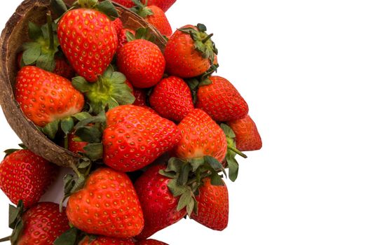 Fresh strawberries in a coconut shell on white background.