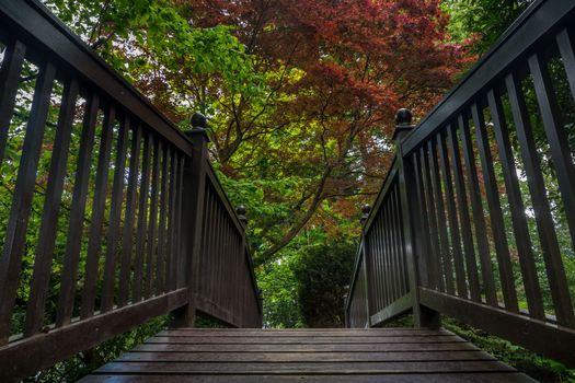Wooden bridge over the creek in a peaceful garden.