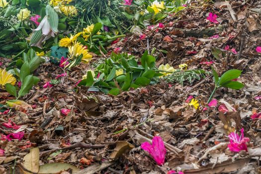 Flowers that fall on the floor, beautiful, suitable for background images
