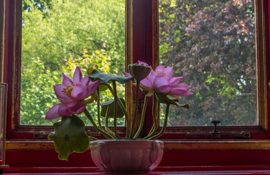 handmade lotus flower with green leaf and pink petals Placed by the window.