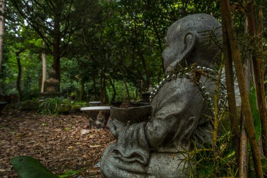 Chinese Buddha statue Located in a forest park Calm and shady.
