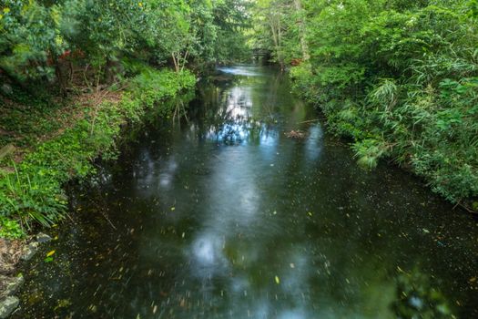Beautiful and shady natural ponds, natural concept