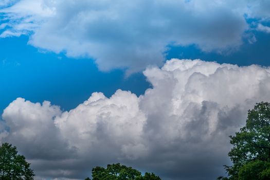 Tree with the backdrop of a beautiful blue sky with a cloudy cloud background