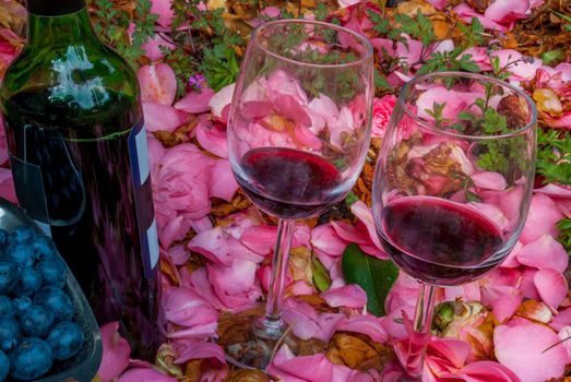 bottle, wine glasses with blueberry in rose garden.