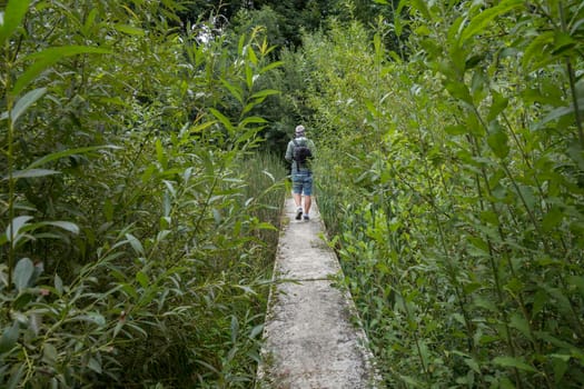 adult man with backpack takes a walk among tall green plants over a walkway in nature