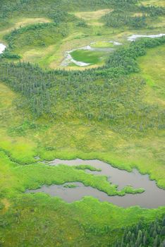 aerial view of alaska