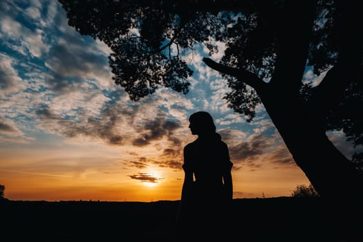 Portrait of a young beautiful girl with long brown hair, in a long red dress at sunset.