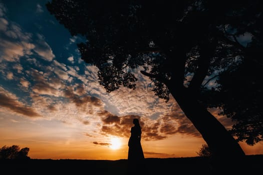 Portrait of a young beautiful girl with long brown hair, in a long red dress at sunset.