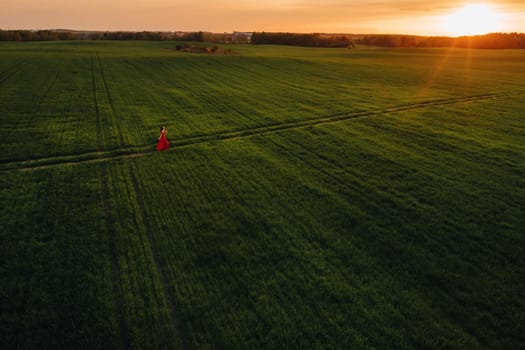 a beautiful girl in spring in a red dress is walking in a field at sunset. Taken from the air by a quadrocopter.