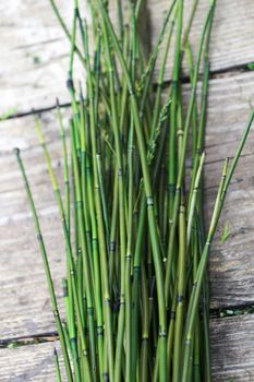 green stabilized horsetail on wooden background close-up.