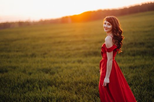 a beautiful girl in spring in a red dress is walking in a field at sunset. Taken from the air by a quadrocopter.