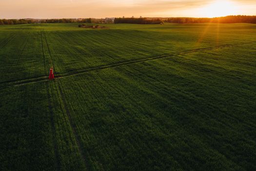 a beautiful girl in spring in a red dress is walking in a field at sunset. Taken from the air by a quadrocopter.