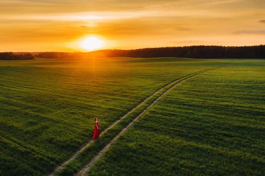 a beautiful girl in spring in a red dress is walking in a field at sunset. Taken from the air by a quadrocopter.