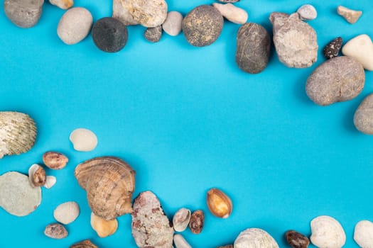 Seashells and rocks on a blue background.Marine theme.