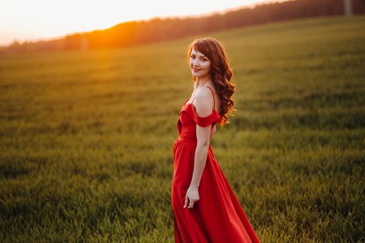 a beautiful girl in spring in a red dress is walking in a field at sunset. Taken from the air by a quadrocopter.