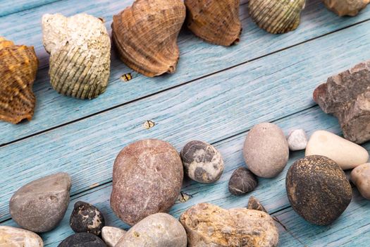 coconuts, rocks and shells on a blue wooden background.Marine theme.
