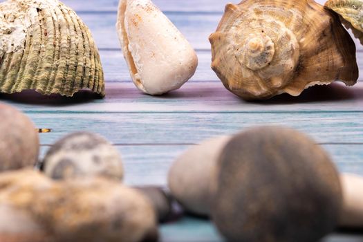 coconuts, rocks and shells on a blue wooden background.Marine theme.