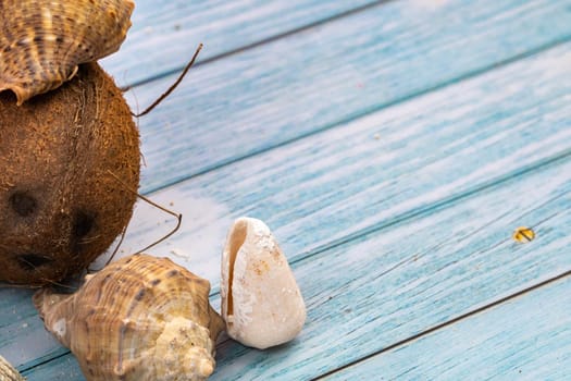 coconuts, rocks and shells on a blue wooden background.Marine theme.