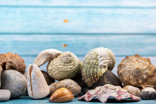 seashells on a blue wooden background.Marine theme.