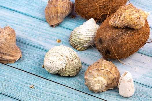 coconuts, rocks and shells on a blue wooden background.Marine theme.