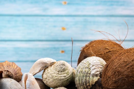 coconuts, rocks and shells on a blue wooden background.Marine theme.