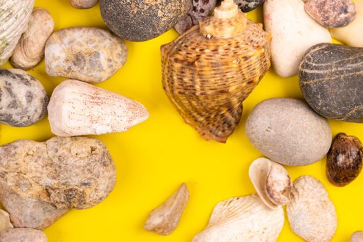 stones and shells on a yellow background.Marine theme.